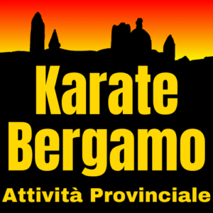 (c) Karatebergamo.it